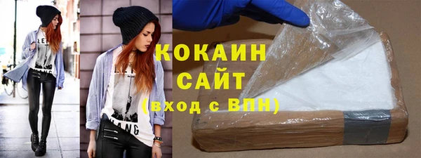 дурь Няндома