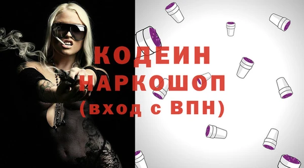 дурь Няндома