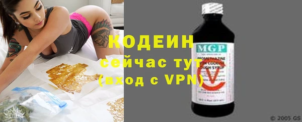 дурь Няндома