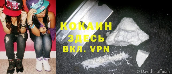 дурь Няндома