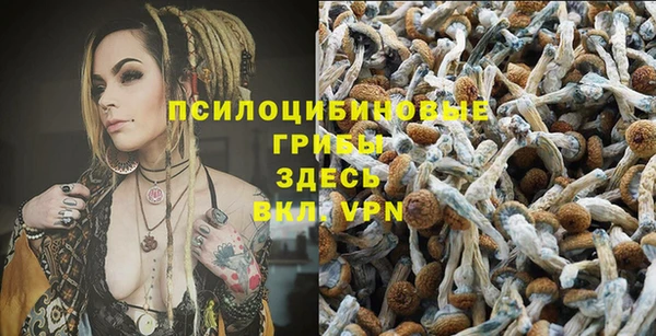 дурь Няндома