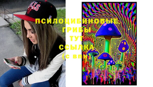 дурь Няндома