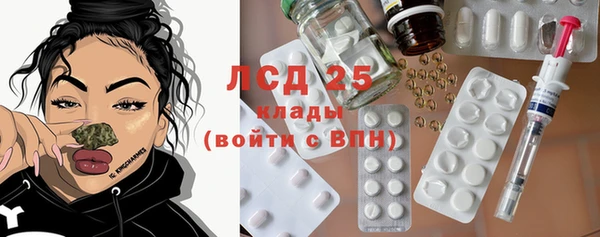 дурь Няндома