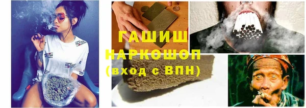 дурь Няндома