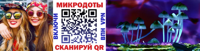 Купить закладки  Армавир  Псилоцибиновые грибы ЛСД 